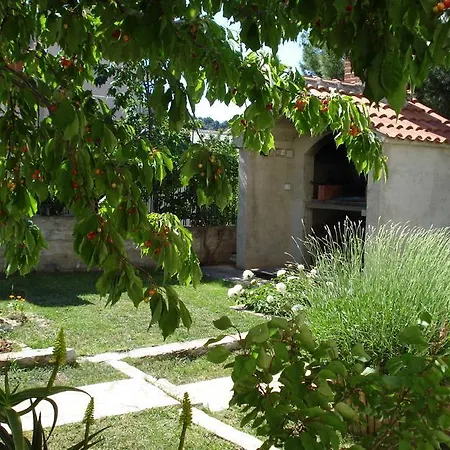 Vinka Apartment *